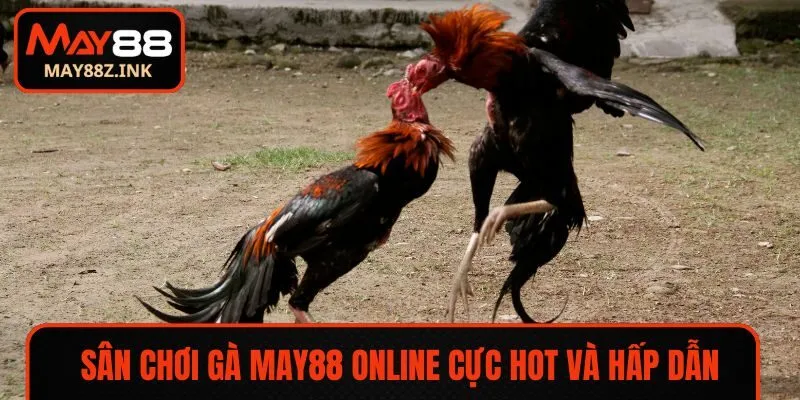 Sân chơi cá cược gà online cực hot và hấp dẫn